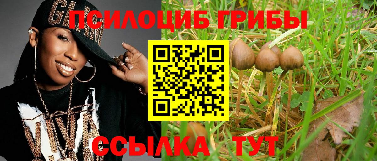 Галлюциногенные грибы MAGIC MUSHROOMS Унеча