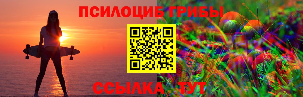 Галлюциногенные грибы GOLDEN TEACHER  Вход с VPN  Унеча 